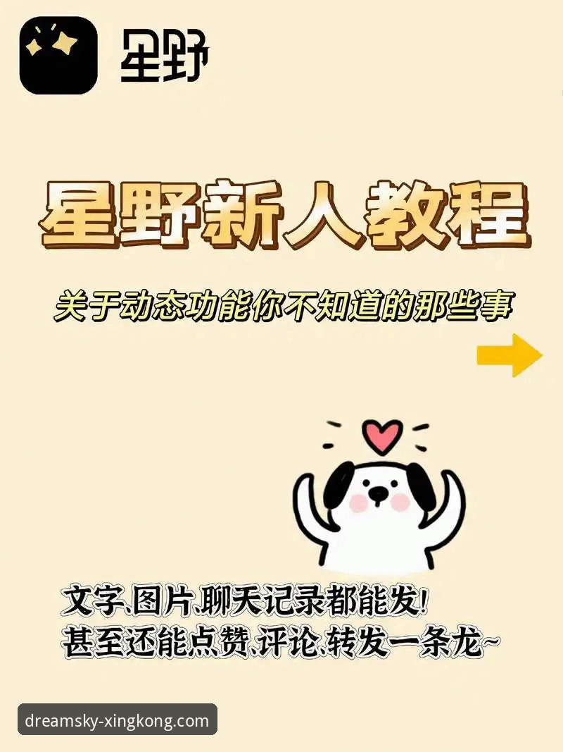 如何玩转星空APP的7K9P版本？这份资深用户指南给你答案